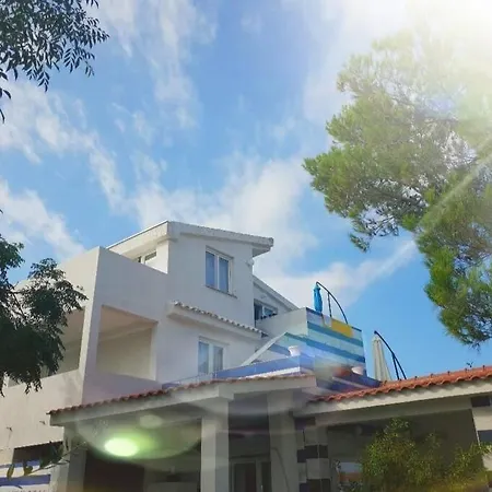 Lateraln Marina New